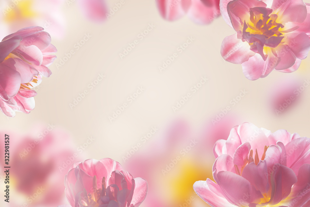 beautiful abstract bright frame with pink tulips. beautiful abstract bright frame with pink tulips.
