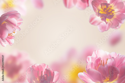 Fototapeta Naklejka Na Ścianę i Meble -  beautiful abstract bright frame with pink tulips.