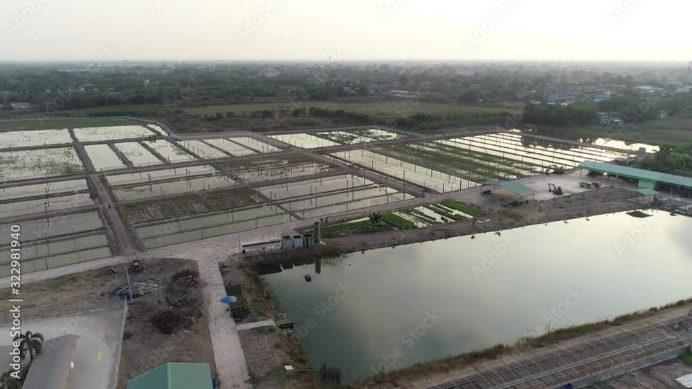 Bird's eye view of cultivated farmland in Thailand. Aerial forward Bird's eye view of cultivated farmland in Thailand. Aerial forward