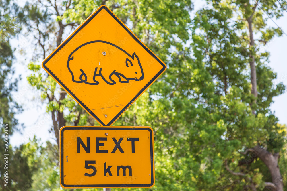 Wombat-Warnung in Australien