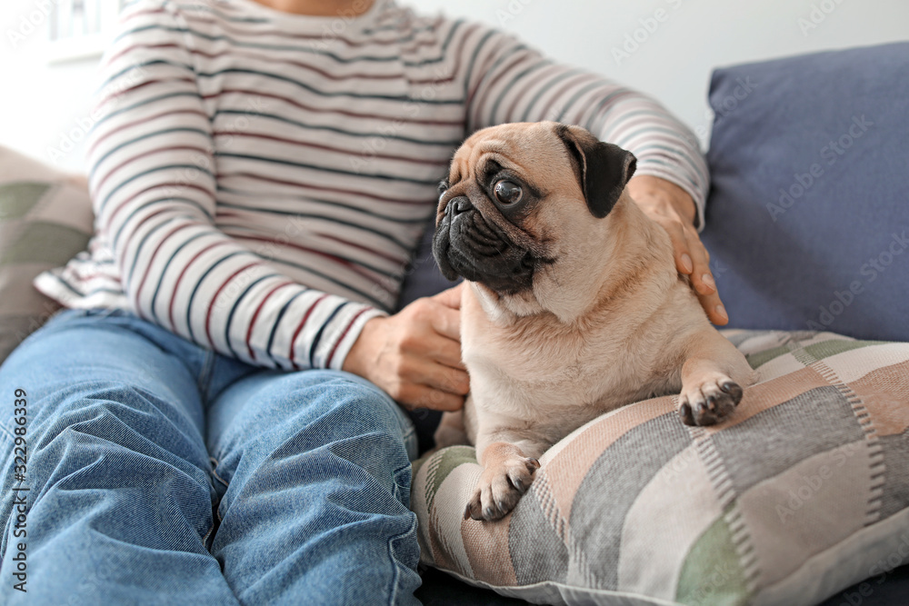 Handsome man with cute pug dog at home - obrazy, fototapety, plakaty 