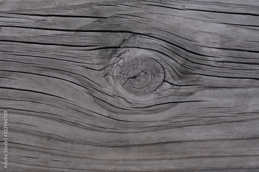 Naklejka premium Texture of wood background