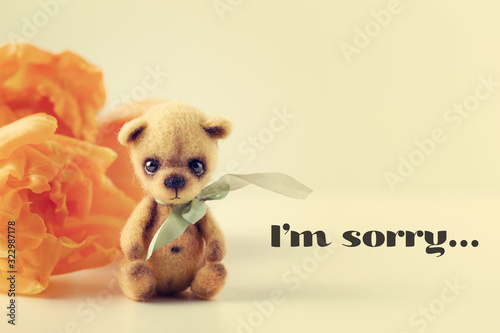 Teddy bear, text I'm sorry. Background, card, poster © 8H