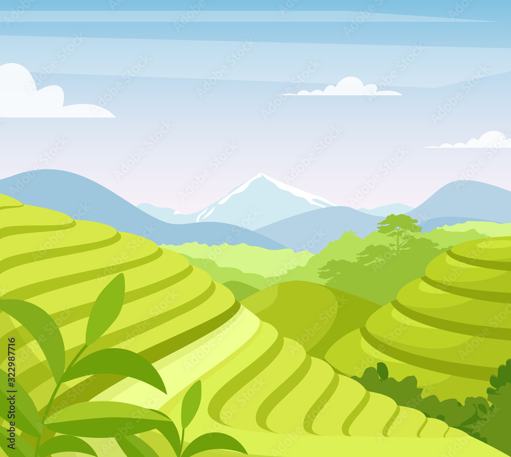 Tea plantation flat vector illustration. Asia countryside farmland fields. Asian rural meadow and hills cartoon scenery. Tea leaves growing in soil. Plants cultivation agricultural technique.