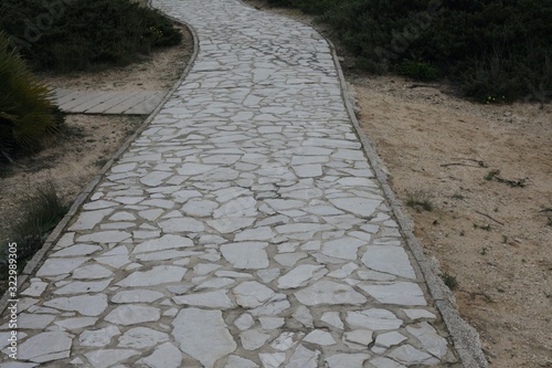 Crazy Paving path