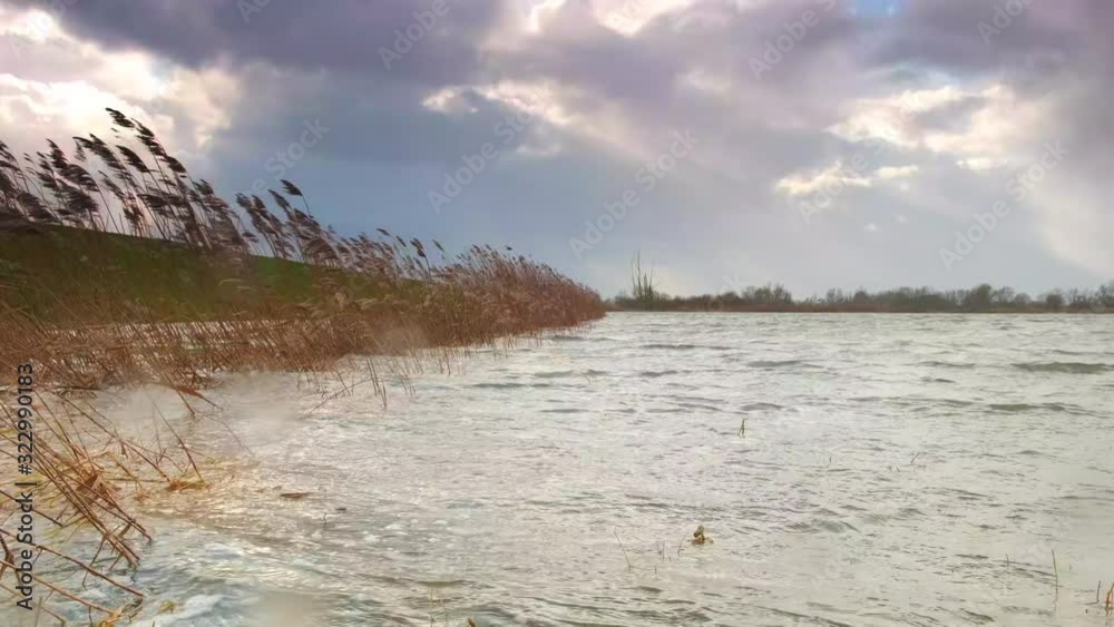 Water running over the floodplains of the river IJssel during flooding caused by high water levels in the river in Overijssel The Netherlands Water running over the floodplains of the river IJssel during flooding caused by high water levels in the river in Overijssel The Netherlands