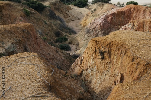 Mud Banks