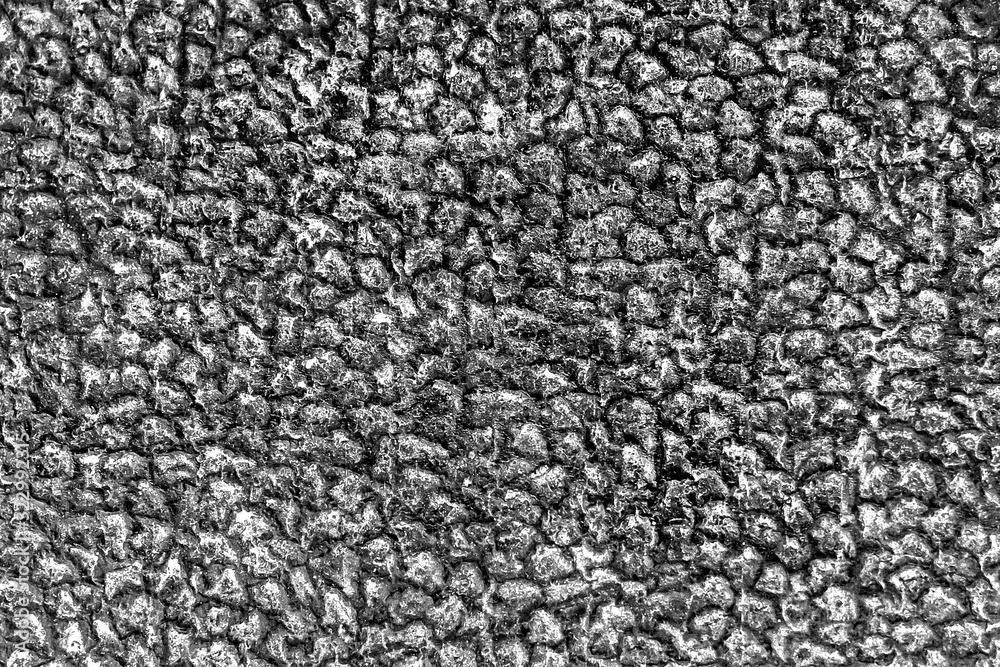 Black and white abstract background with patterns, monochrome rubber texture Black and white abstract background with patterns, monochrome rubber texture