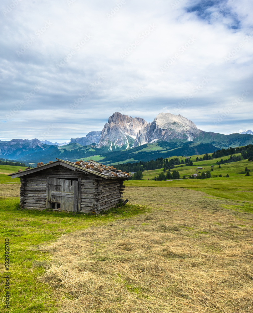 baita di legno, prati e montagne - panorama - Alpe di Siusi - Dolomiti - Sasso Piatto e Lungo