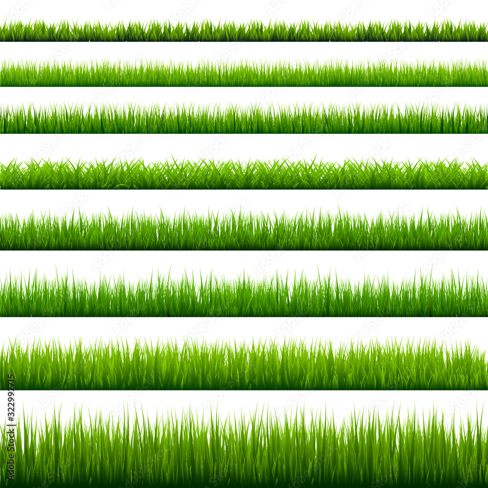 Fototapeta Grass borders collection. Green meadow nature background. Easter card design element. Vector illustration.