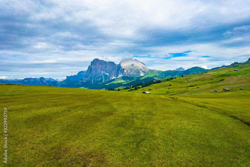 prati e montagne con panorami mozzafiato - Alpe di Siusi - Dolomiti - Italia
