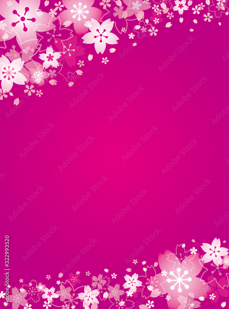  ピンクの桜 背景、フレーム