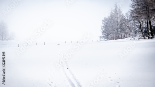 A single ski track  leading into through a white winter wonderland in the open country-side in Germany.