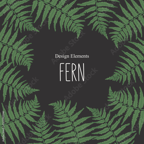 The frame of fern leaves on black background. Vector illustration. Design elements.