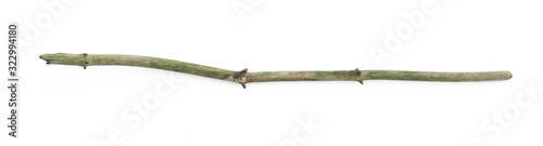 greened old wooden stick isolated on white background