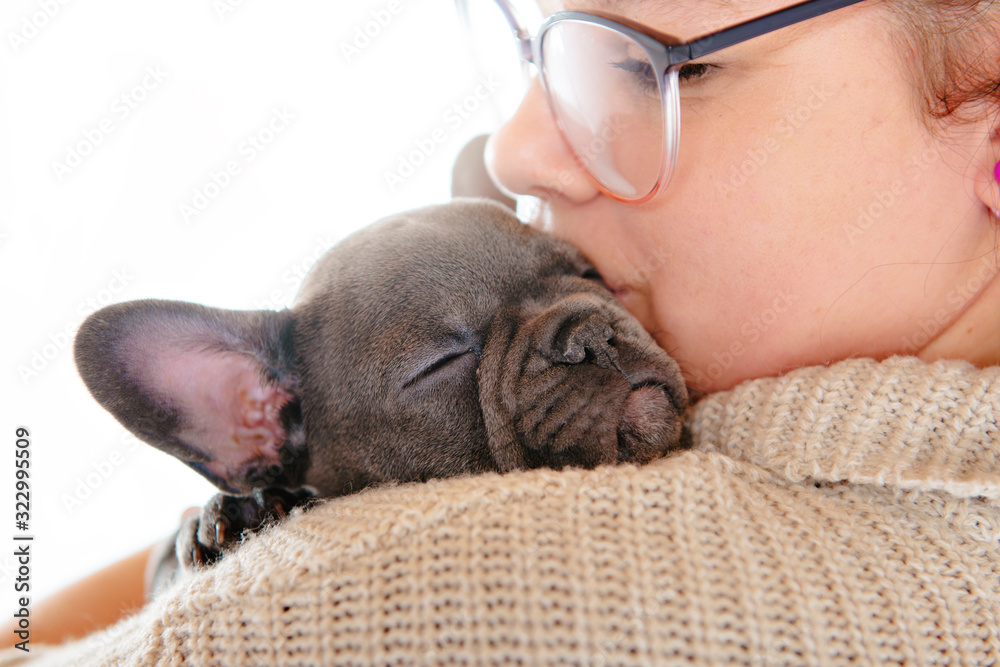 Black French bulldog puppy Sleep over a white background. Black French bulldog puppy Sleep over a white background.
