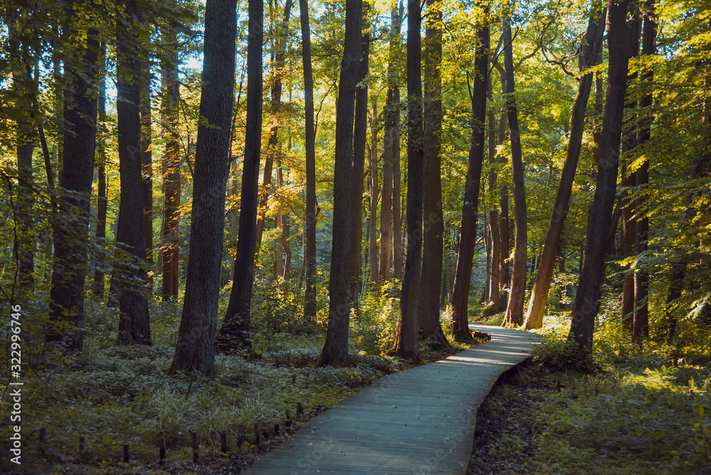 Fototapeta premium Beautiful park in Wejherowo