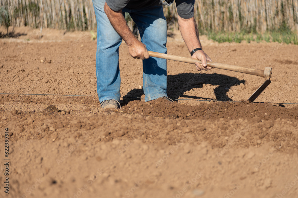 farmer preparing land with hoe to plant potatoes