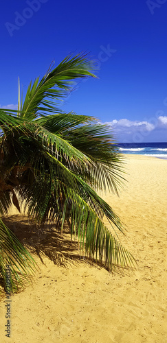 Sandy Beach an der Ostküste Oahus in Hawaii photo