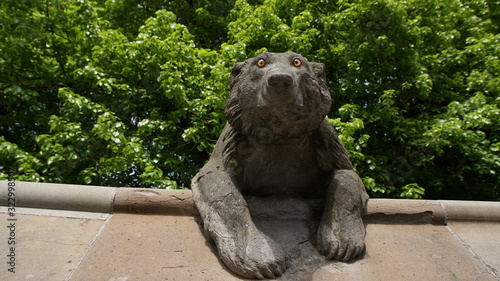 Bear