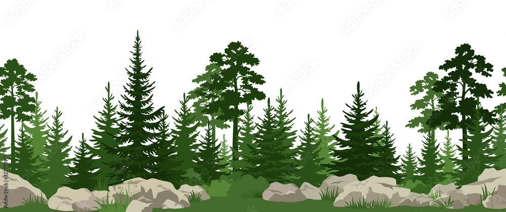 Seamless Horizontal Summer Landscape with Green Pine, Fir Trees, Bushes and Grass on the Stones. Vector