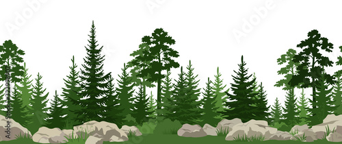 Fényképezés Seamless Horizontal Summer Landscape with Green Pine, Fir Trees, Bushes and Grass on the Stones
