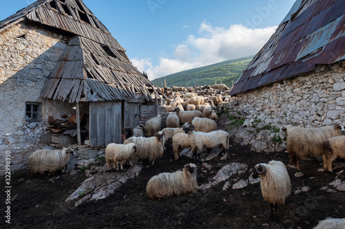 Lukomir, Bosnia and Herzegovina. A sunny, summer afternoon in the village of Lukomir on Bjelasnica Mountain photo