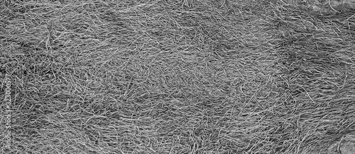Photos Abstract pattern formed by fibrous  threads of palm bark