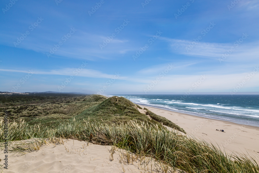 Sand dunes and a vast empty beach on the Oregon coast, on a sunny summers day Sand dunes and a vast empty beach on the Oregon coast, on a sunny summers day