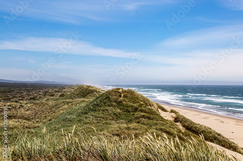 Sand dunes and a vast empty beach on the Oregon coast, on a sunny summers day
