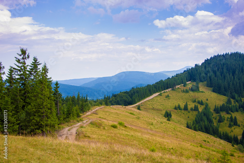 Mountain landscape with dirt road between trees_