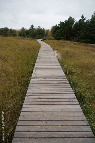 A long wooden plank trail leading into a pine tree forest through the beautiful white dune landscape at the Hohe Düne; Pramort, Zingst, Germany, Europe