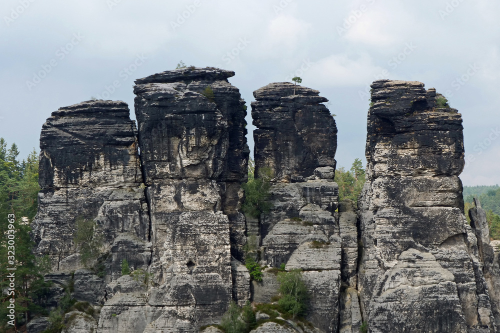 Close-up of four stone fingers rising out of the forest in the famous chalky sandstone cliff area in the Saxon Switzerland, Germany, Europe Close-up of four stone fingers rising out of the forest in the famous chalky sandstone cliff area in the Saxon Switzerland, Germany, Europe