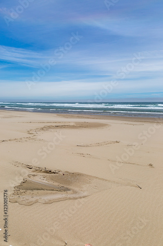 Wallpaper Mural Looking out over a vast sandy beach at Oregon Dunes National Recreation Area Torontodigital.ca