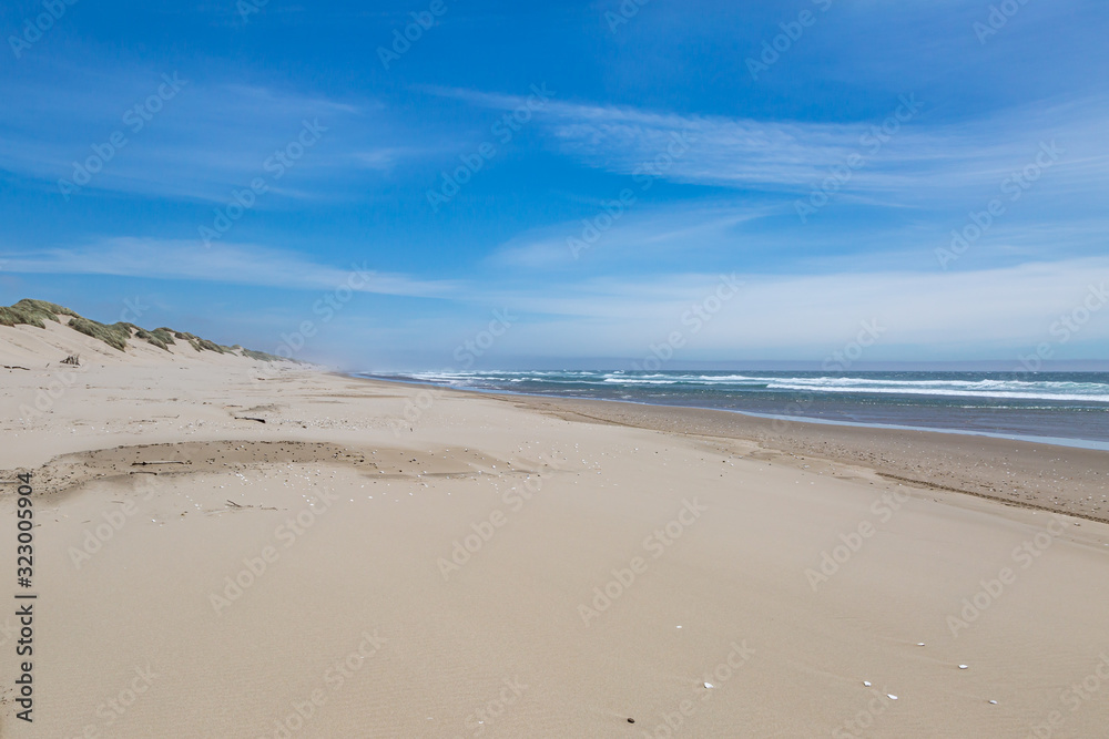 Looking out over a vast sandy beach at Oregon Dunes National Recreation Area Looking out over a vast sandy beach at Oregon Dunes National Recreation Area