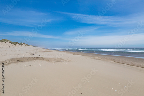 Looking out over a vast sandy beach at Oregon Dunes National Recreation Area