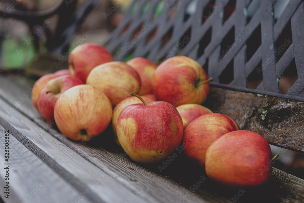 Red apples lie on an old garden bench. Autumn Red apples lie on an old garden bench. Autumn