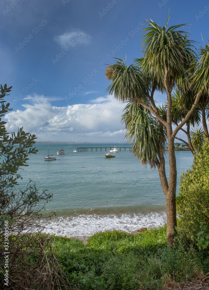 Moeraki coast and sea. Boats. New Zealand Palmtree