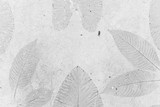 Leafs pattern of a plant stamped on the concrete, grey background