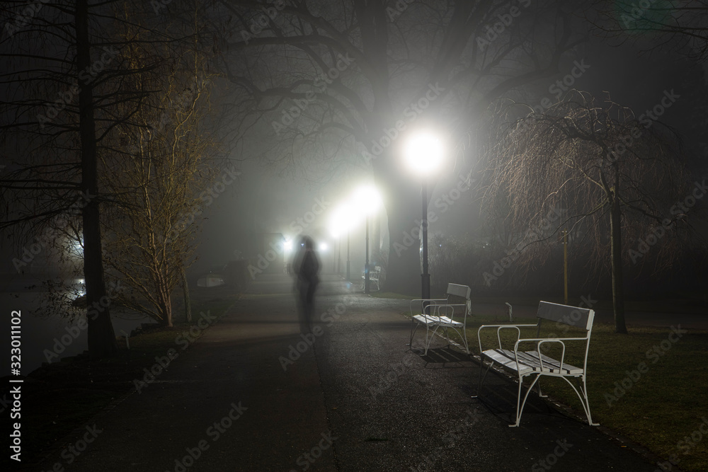 scary shadow in the foggy night park