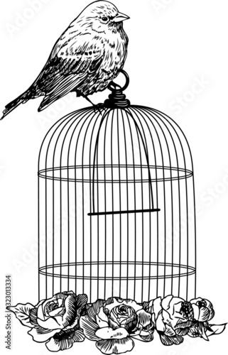 Birds with cage and flowers