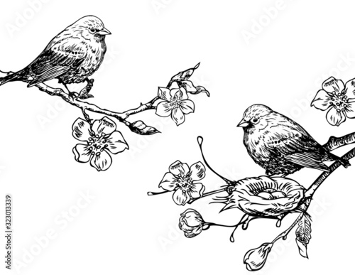 Birds with nest on a branch