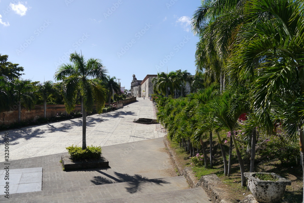 Fototapeta premium Palmen und Mauer am Spanischen Platz in Santo Domingo