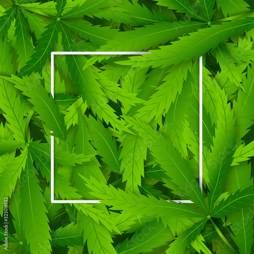 Poster with hemp plant