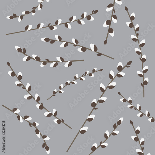 willow catkins twigs- vector illustration