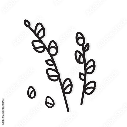 willow catkins twigs- vector illustration