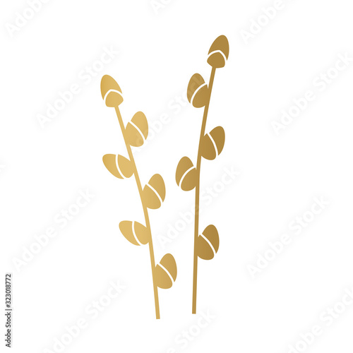 golden willow catkins twigs- vector illustration