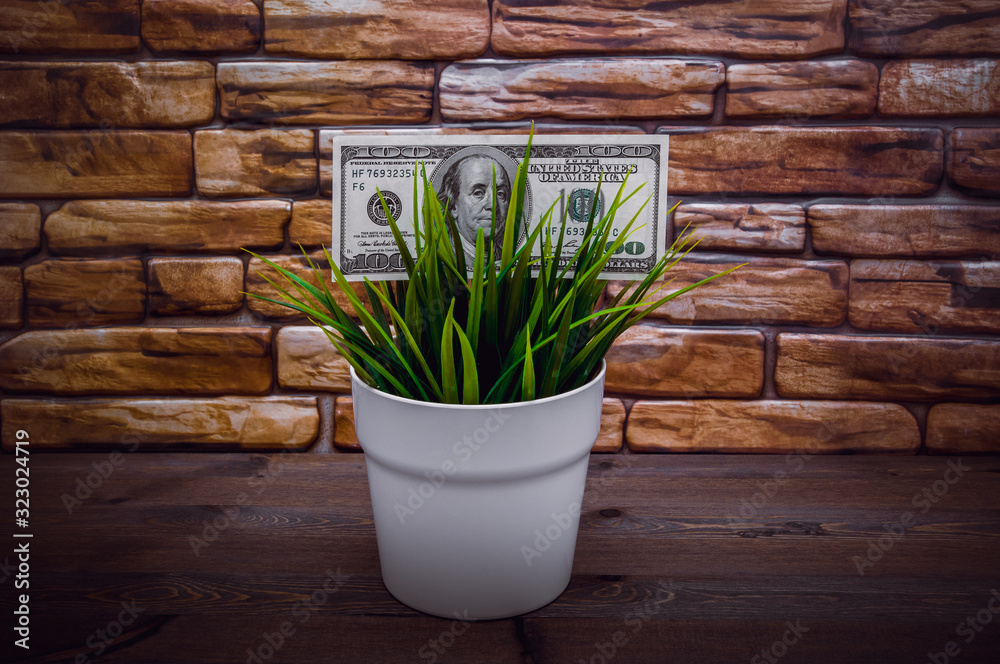A hundred dollars and a plant, the concept of growth.