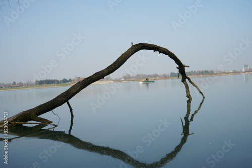 Ast im Wasser