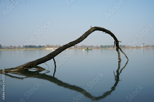 Ast im Wasser